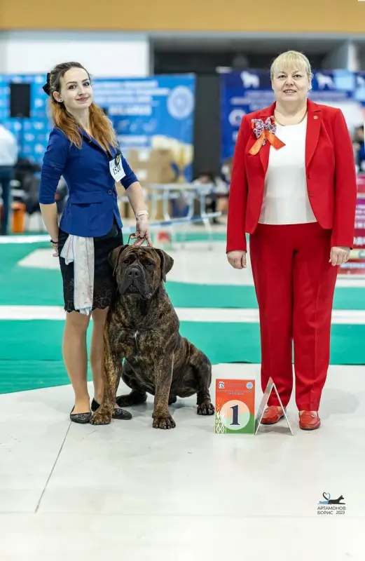 P7hzRb1_ww71lfC9pE8yO2BxlfIV3aMi9Rb8TnT7xzPvj2ueCN8_zn92BR2Dct9tUBXqcZ31Ri6gvJVjNfCVxjbk