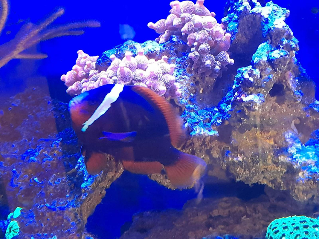 изображение_viber_2021-08-25_08-08-59-702