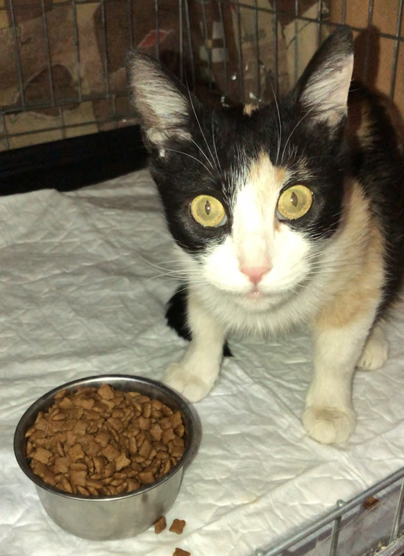 ED1257EF-5125-49A9-984C-46251B7753CE