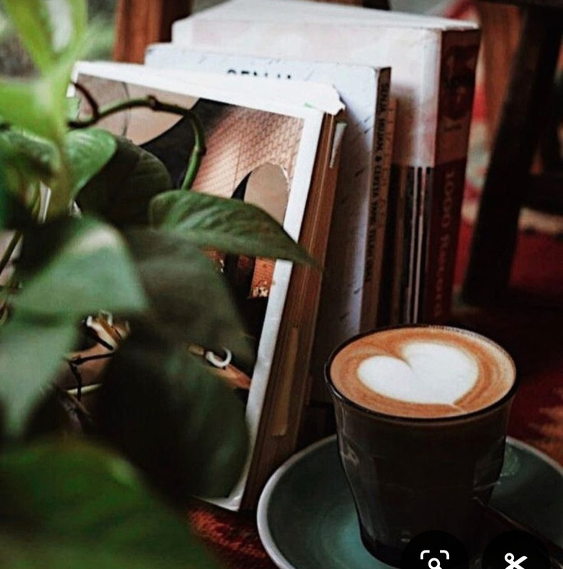 Screenshot_20240629_001033_Pinterest