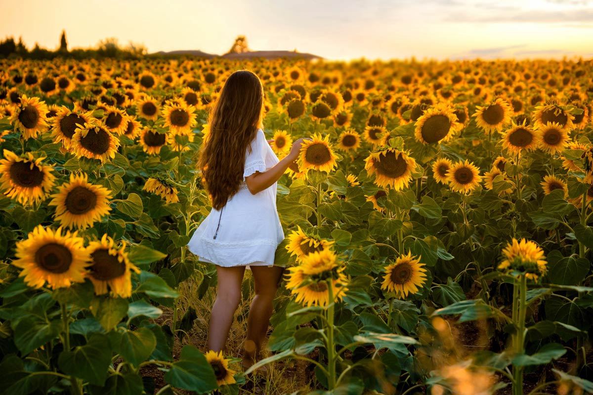 ¿Por qué se festeja el Yellow Day o el día más feliz del año este 20 de junio?