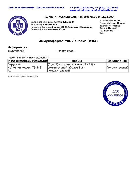 Результат анализа ИФА Диагностическое исследование 000678506 от