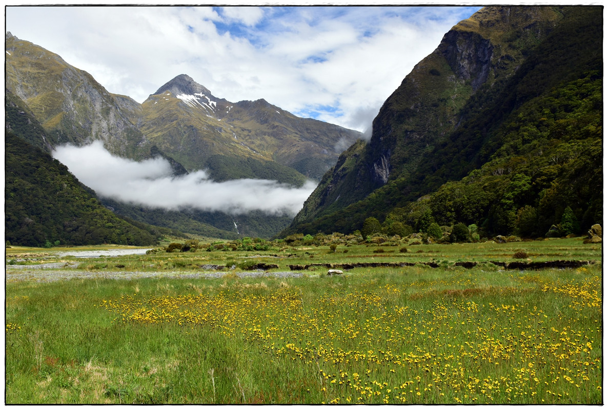 Mt Aspiring NP: Gillespie Pass Circuit (diciembre 2021) - Escapadas y rutas por la Nueva Zelanda menos conocida (37)