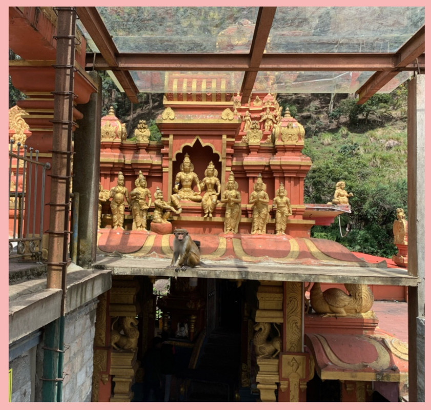 77-A56700-6778-4728-B87-A-5-D918-DC7-FFE