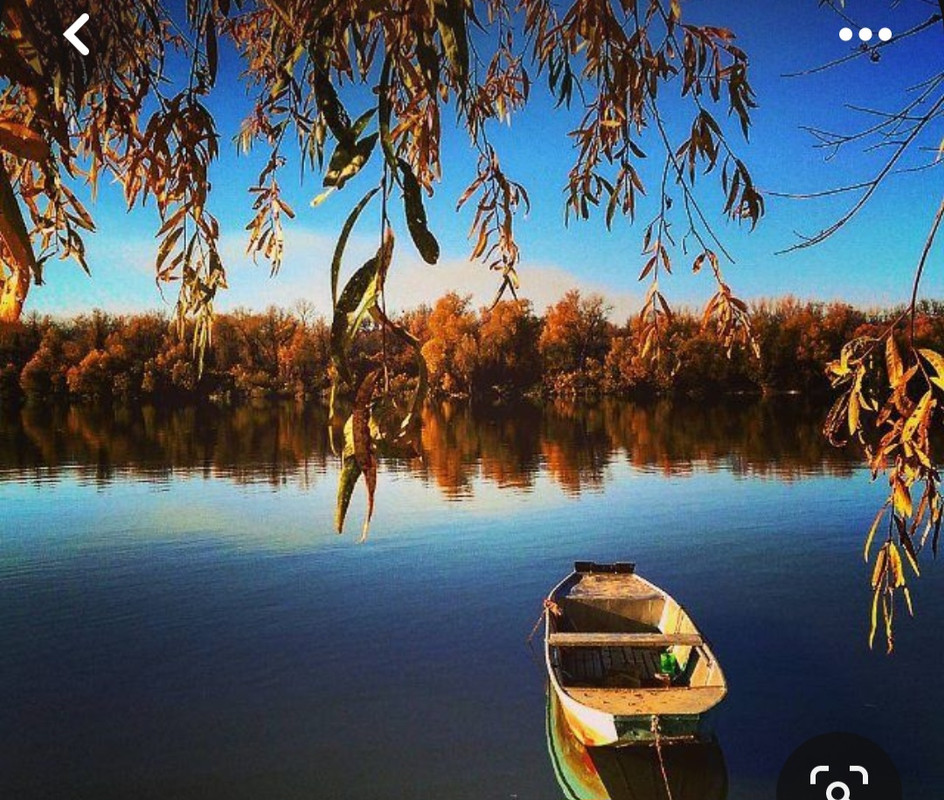 Screenshot_20231119_101710_Pinterest