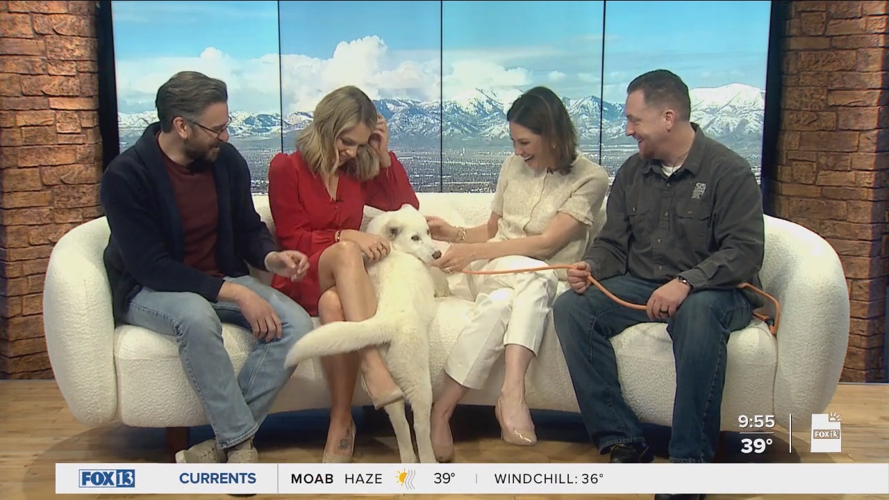 04.04 - 16.00.00 - FOX13 News  Good Day Utah 9AM  ᴺᵉʷ. Utah news, wea....ts_snapshot_00.56.54.749