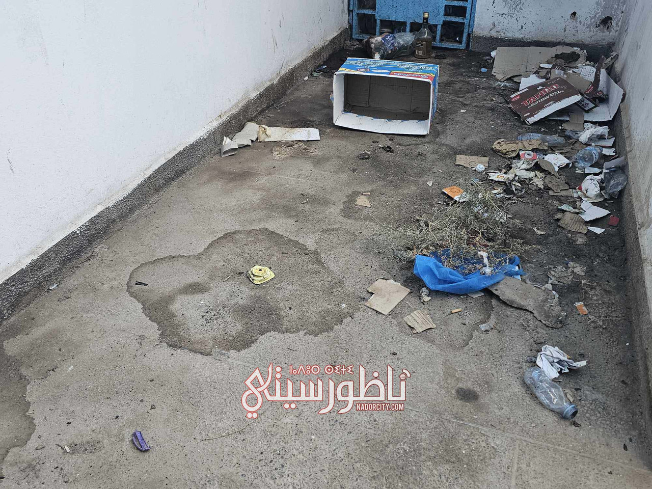 577329473-25683826161201261-8870522605374772660-n