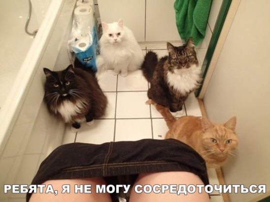 сосредоточиться