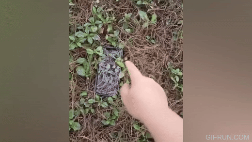 UNUSUAL-MEMES-Compilation-BEST-CUBE-208.gif
