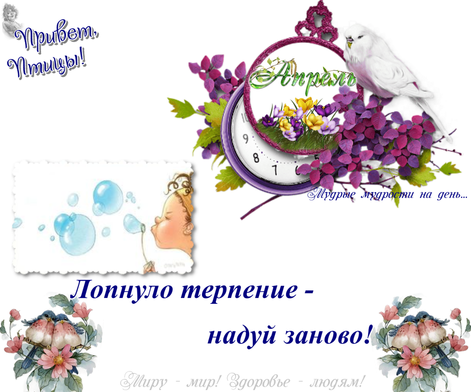 https://i.postimg.cc/SxN7cGwy/23-04.png