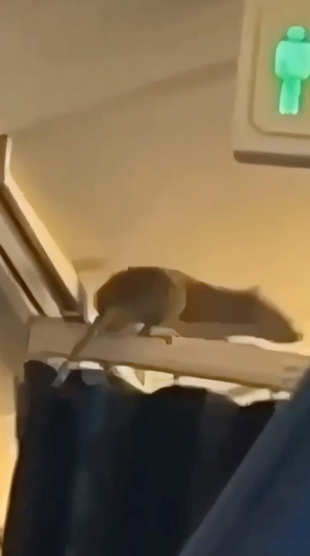 891888580452740 aircraft departed amsterdam 117386768