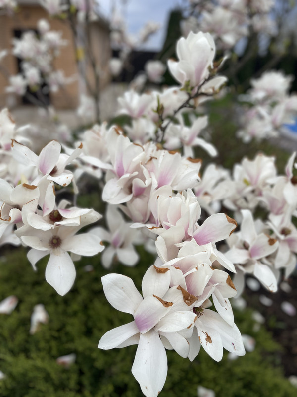 FBE6F08B-00EE-4810-AD1A-84D055140266