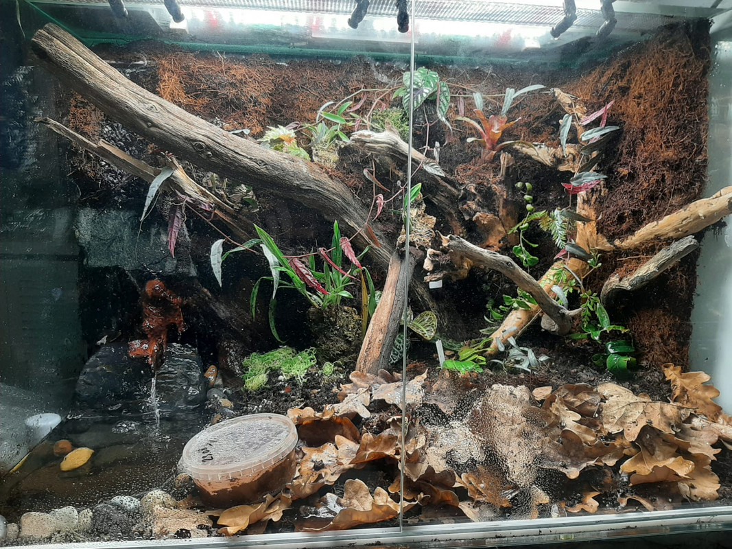 WhatsApp Image 2024-02-27 at 12.14.22 (1)