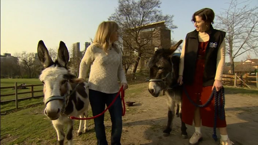 BBC London News_20220324_18301900.ts_snapshot_23.30.903