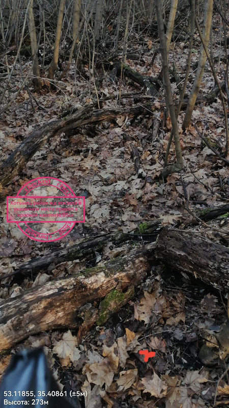 IMG 20251116 084551 784