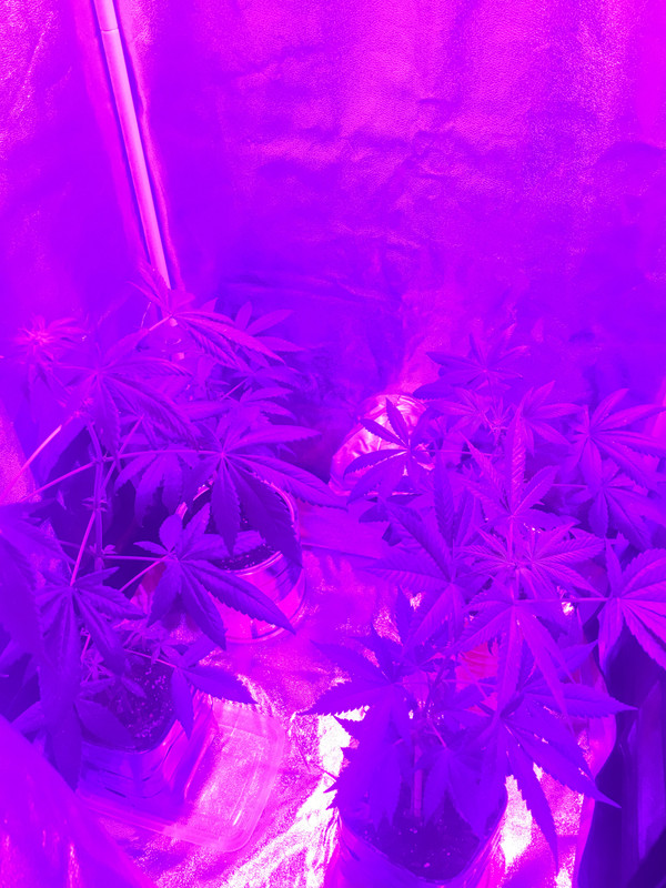 614F87F7-325C-423A-883A-52F1DDC9E5CC