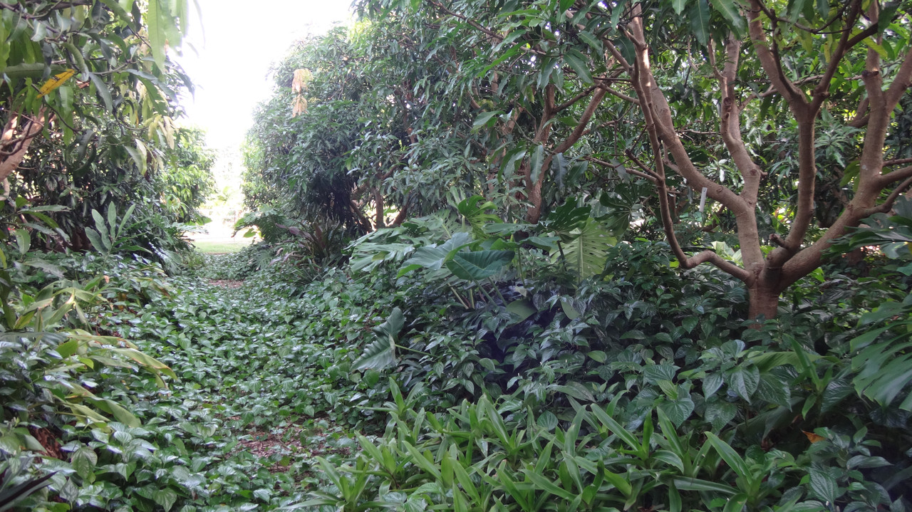 DSC01843