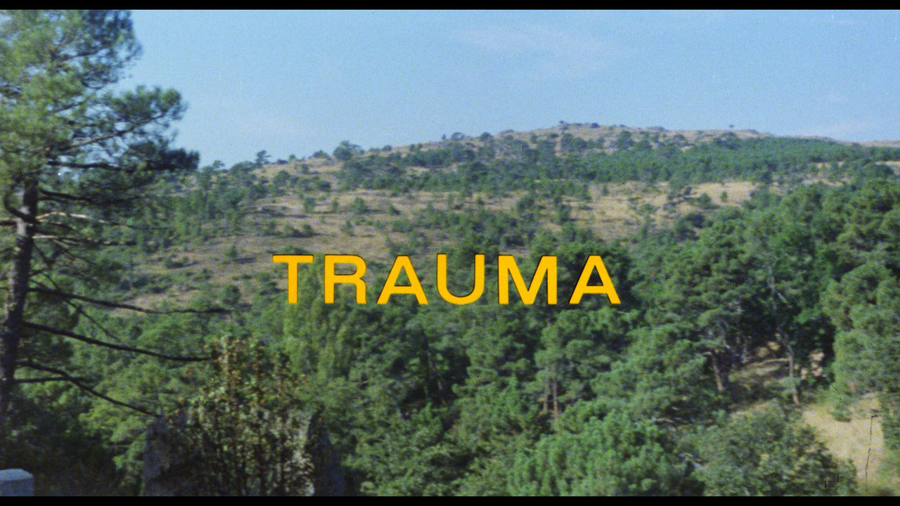 Trauma01_2400x