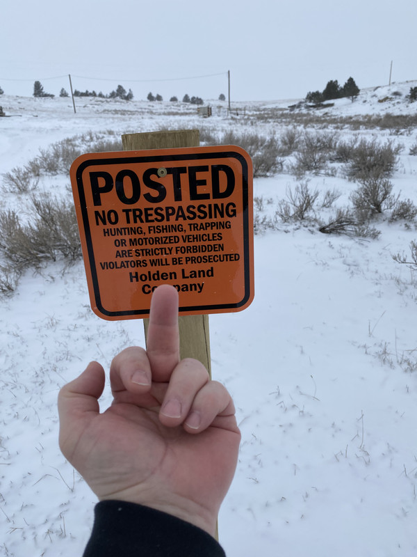 15FC40AC-0D74-4302-AF78-CB10B8D19A7C