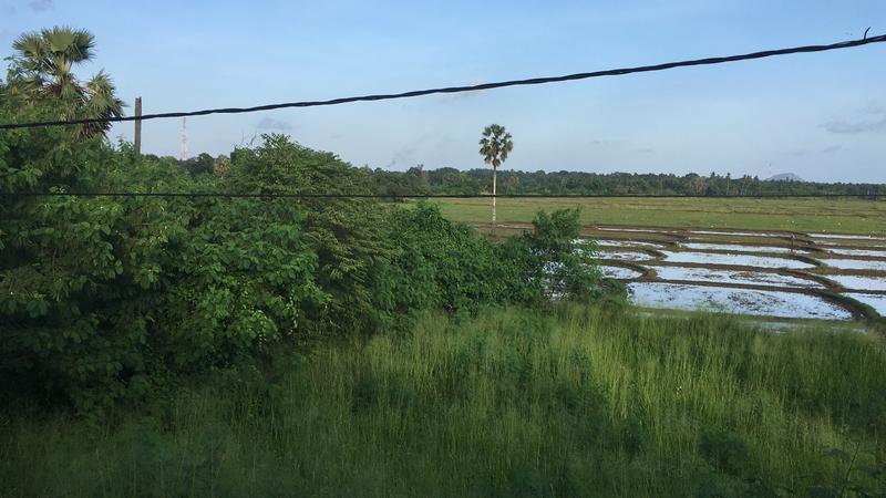 21 de diciembre - Anuradhapura - Navidad en Sri Lanka - Diciembre 2017 (2)