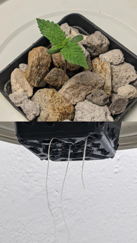 IMG_20230113_085408_201