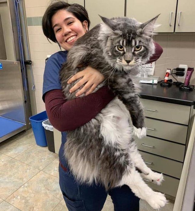 Huge-3