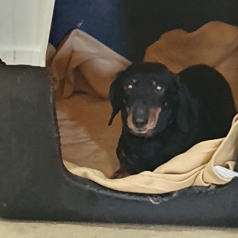 [Image: 20210506-163654.jpg]