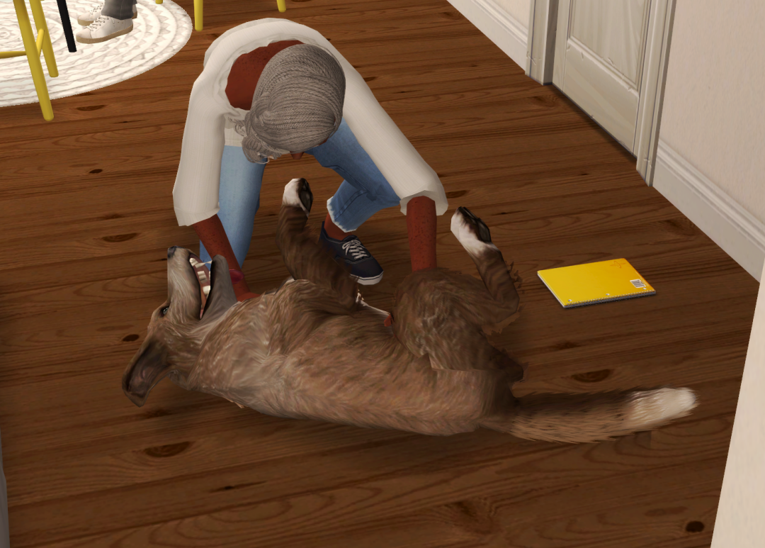 Sims2-EP9-RPC-2023-02-25-18-29-57-40