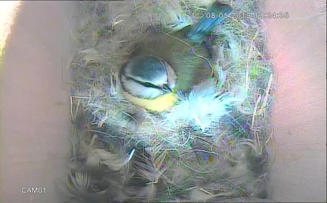 B6F4035B-EB82-4883-A862-B51DA17A0123