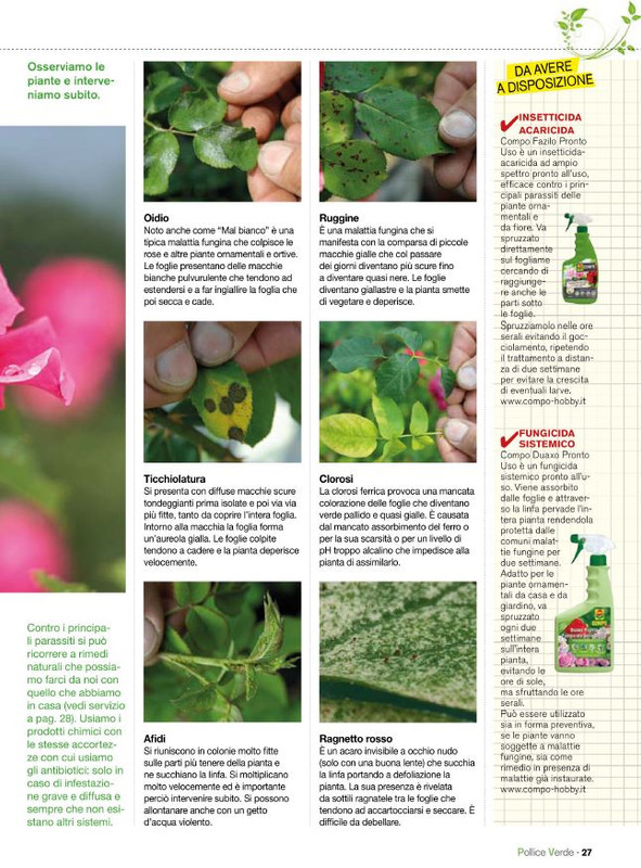 Pol Ver Mag 2020 (4)