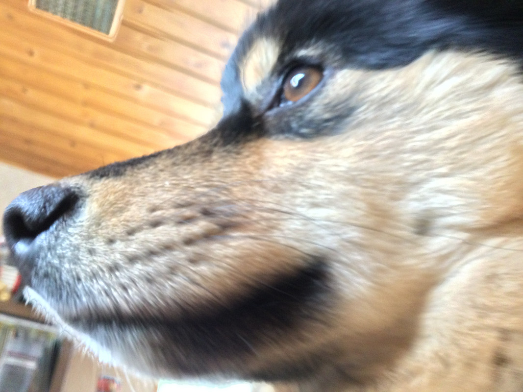 64647584-D1DE-4E5F-A707-9285C4F62EF7