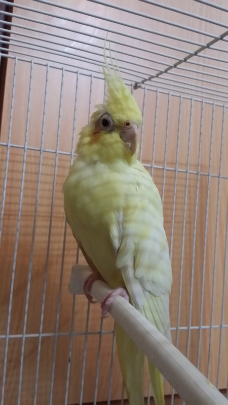 ٢?١٨?٨?٥_١٩٤٩?٦