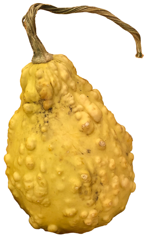 Gourd 1