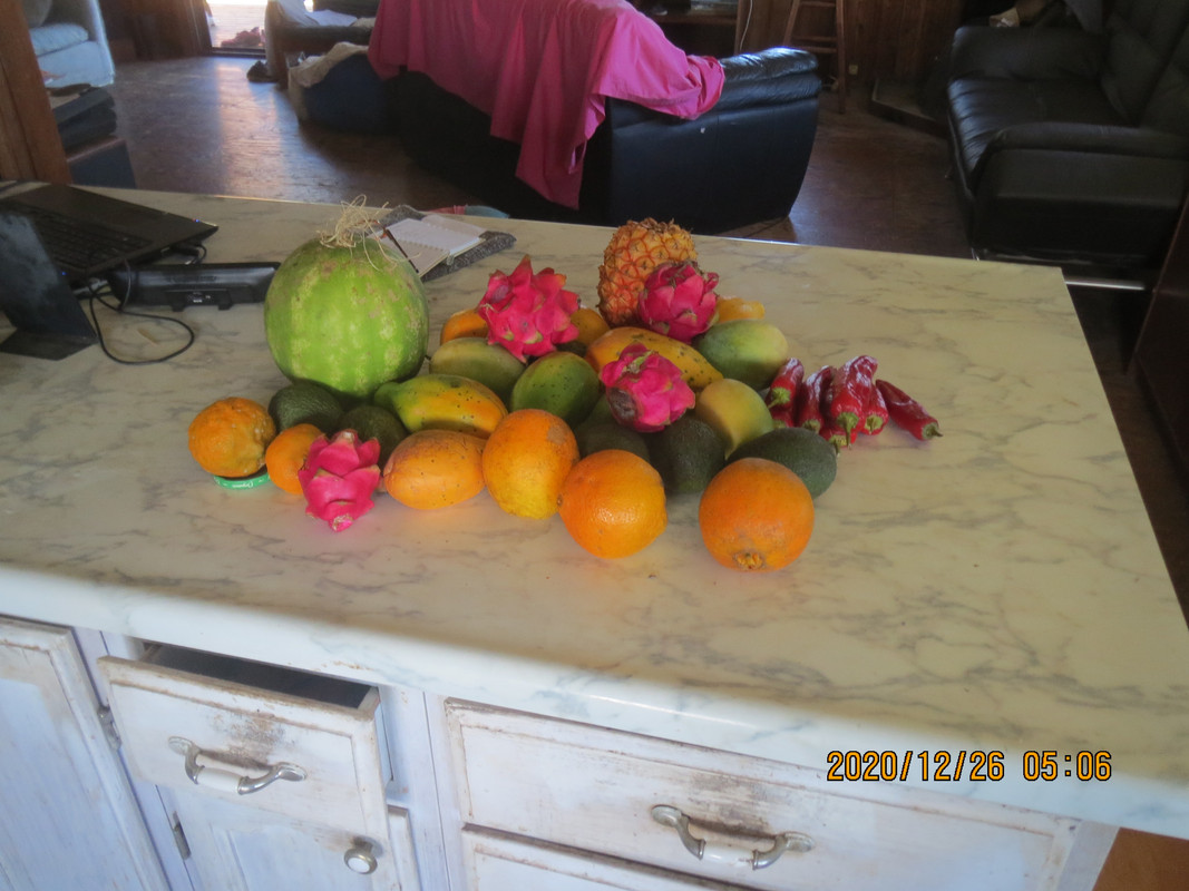 DB360BA4-1C29-45AF-9EA3-CEAB737958EA