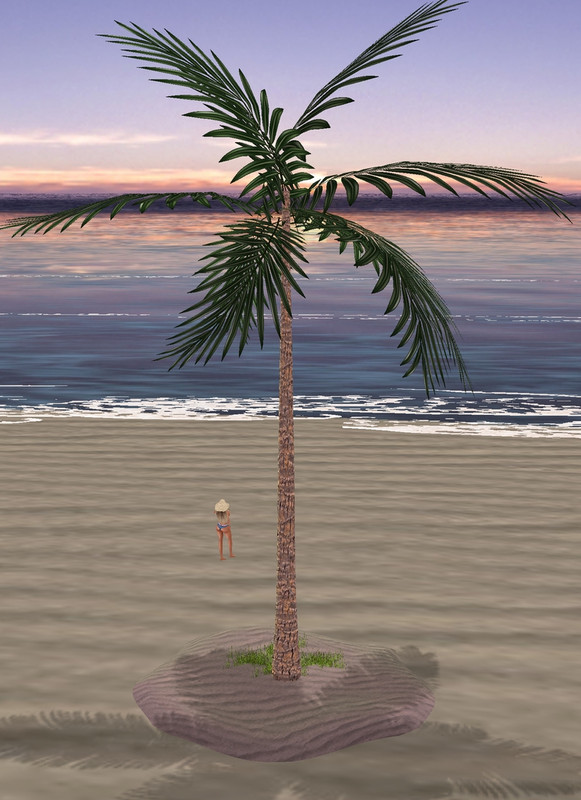 Palm-Tree-3