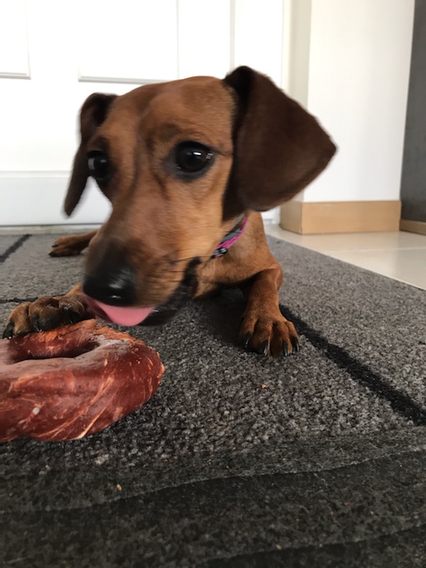 [Image: IMG-9307.jpg]