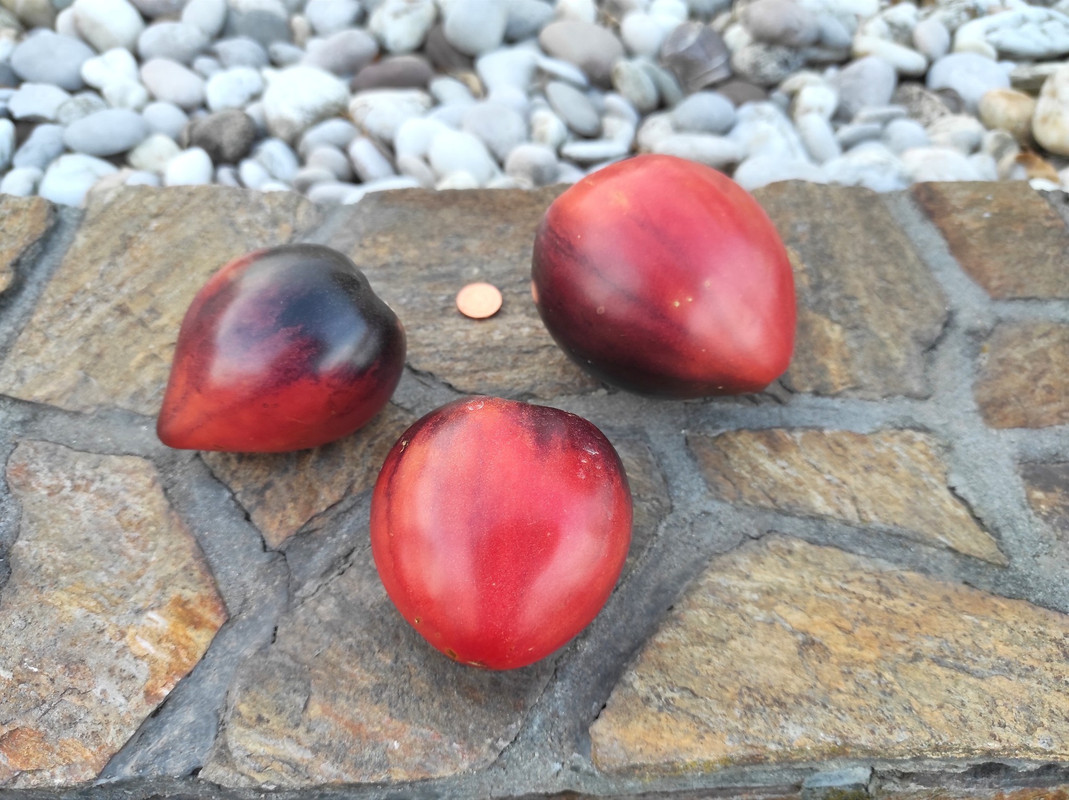 547470444_24556311900654511_8085615937133445302_n