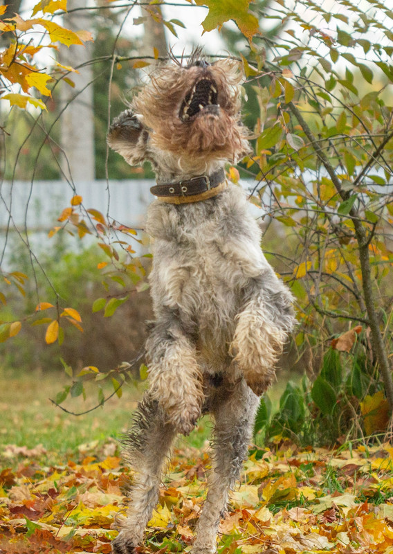 gDLrwEEsU0TpkuJDFw-xqm-1Iif20V8keKyTdSdZEcIOTbEdXUzUJeonTEJ4Khmq-y-Ss2P3IewLvUUYIbUHE--5