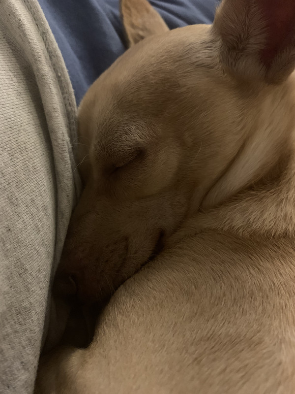 708FE0AC-7D63-40EF-8B41-930B87E5D63F