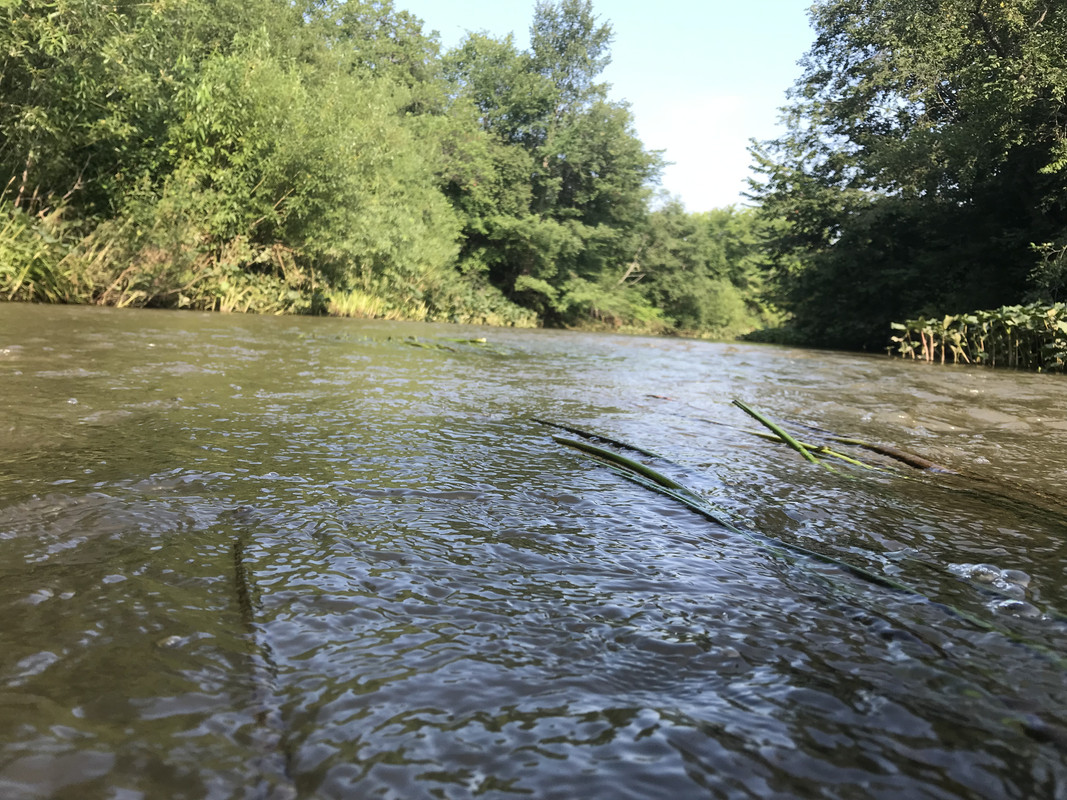 1DAF329E-D0C0-4E55-804A-43EE2286CB88