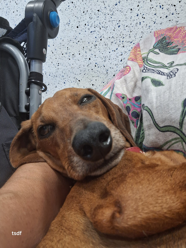 [Image: 20250826-185238.jpg]