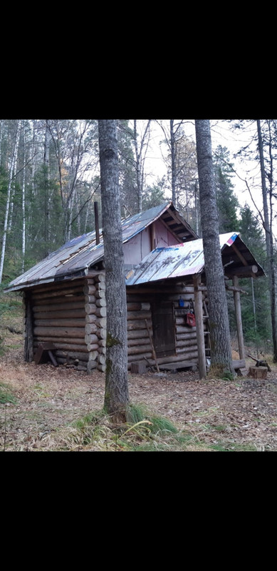 Screenshot_20221017-042931_WhatsApp