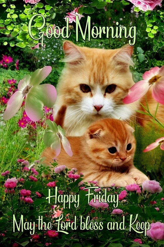 An den Beitrag angehängtes Bild: https://i.postimg.cc/SxStKfWM/oie-174329mm-M8-LZYN.jpg