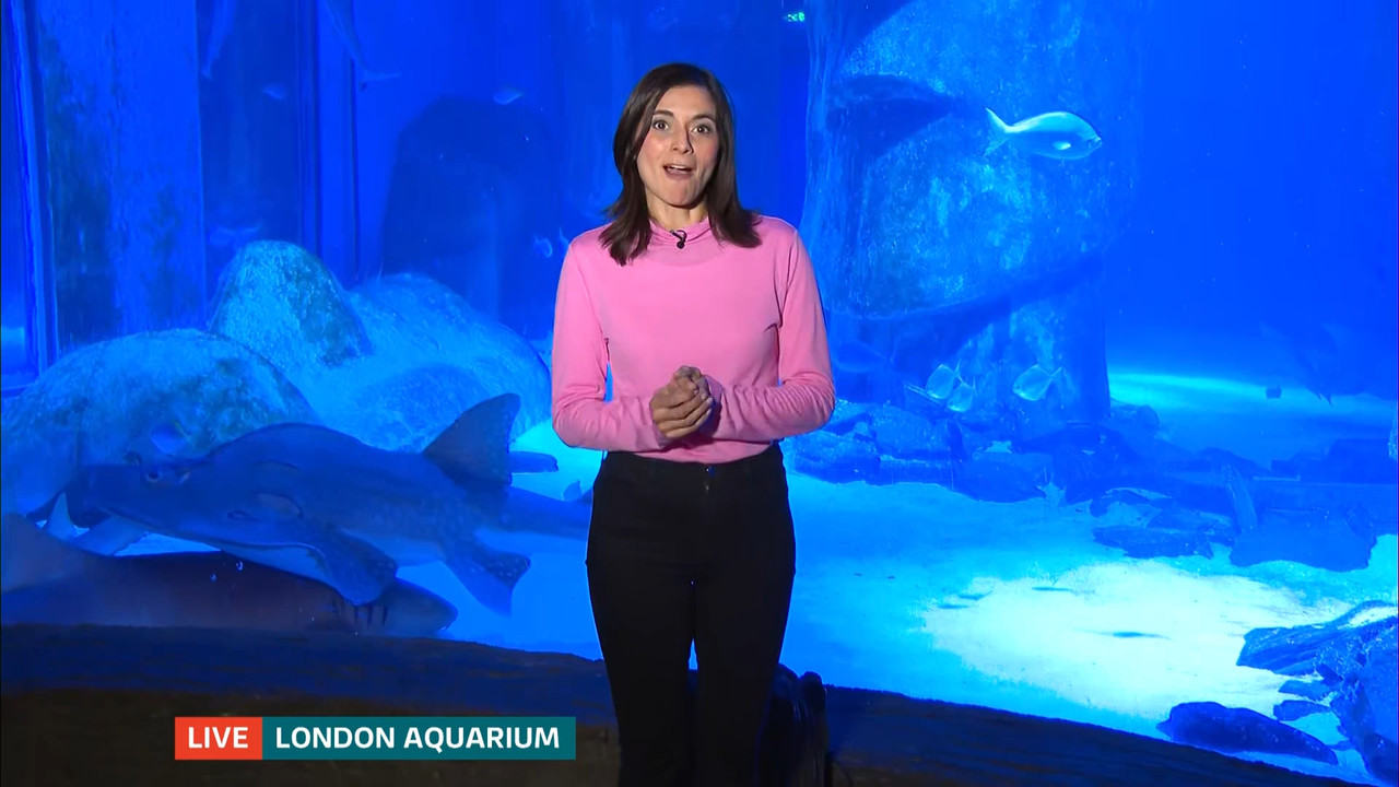 ITV Evening News_20230202_18301930.ts_snapshot_00.49.26.605