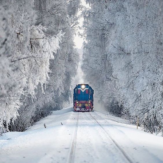 bluetrainsnow.jpg
