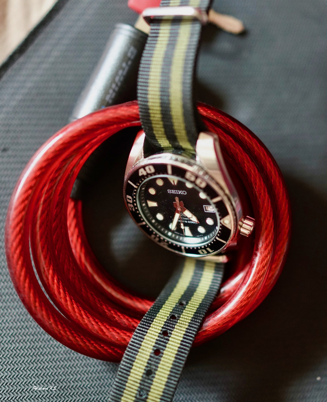 *** La Seiko du jour - vol. 20 *** - Page 40 DSC06099
