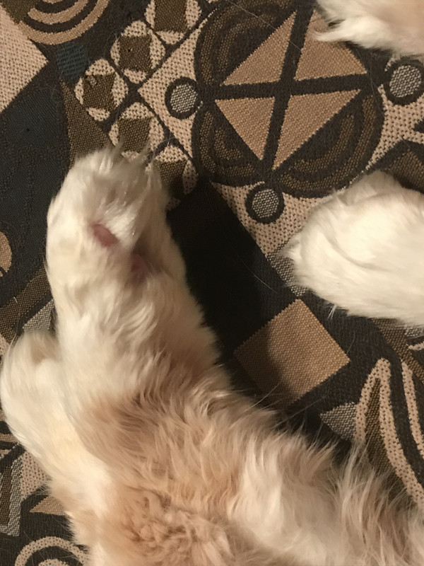 7AF1720A-3C52-486B-9FA7-3F1D1F000493