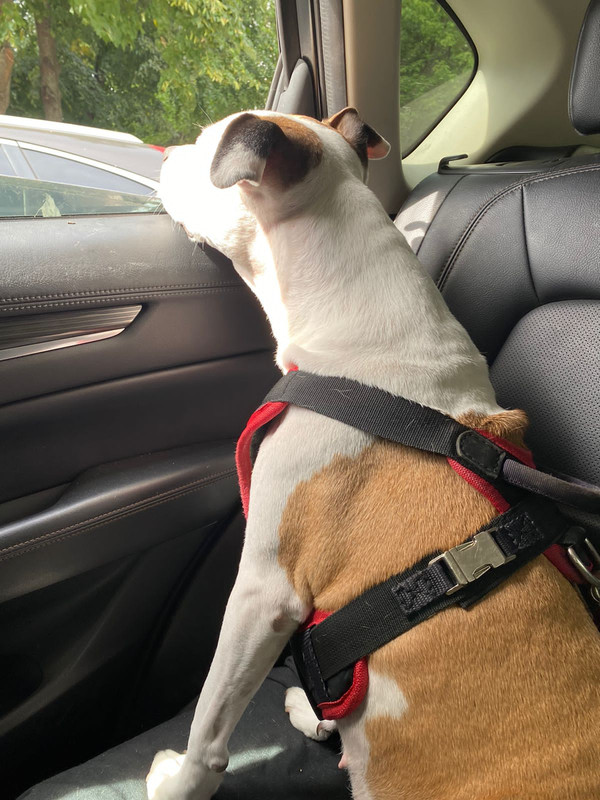 FBBEBAD3-AC88-4B26-8C19-C03D849F6C20