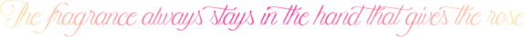pink5-1