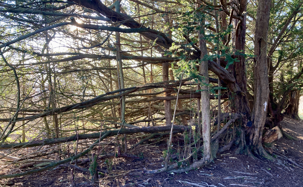 58C3E2F7-1D08-418B-A78E-5518C210F9A1